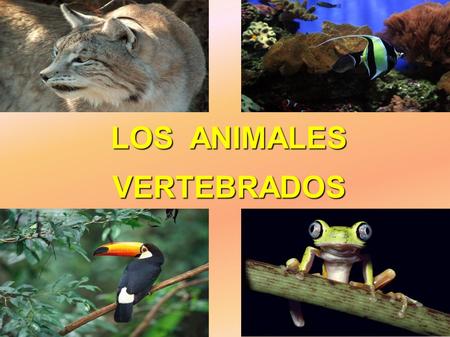 LOS ANIMALES VERTEBRADOS