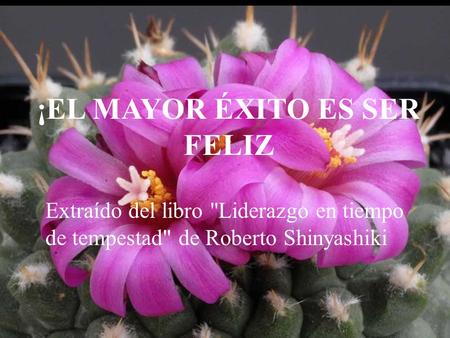 EL MAYOR ÉXITO ES SER FELIZ