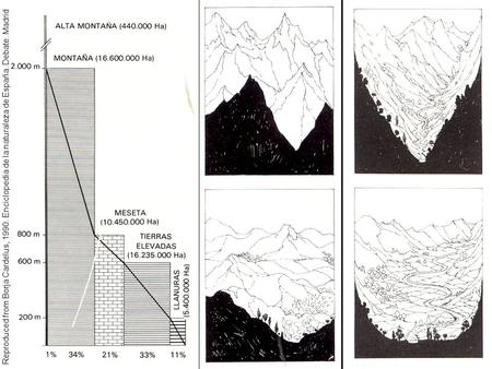 Reproduced from Borja Cardelus, 1990. Enciclopedia de la naturaleza de España. Debate. Madrid.