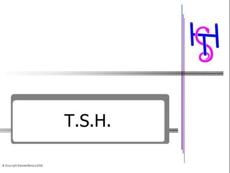T.S.H. © Copyright Graciela Bárbulo 2005. Terapia de Sanación Holística TSH Qué es Para qué sirve Cómo actúa.
