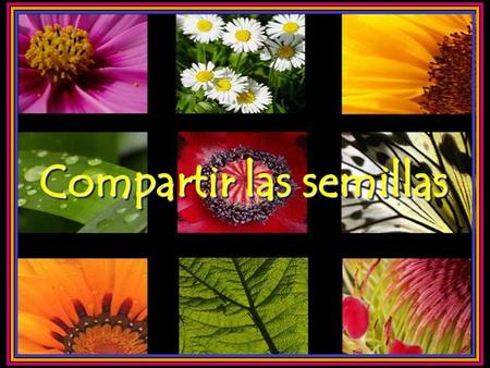 Compartir las semillas