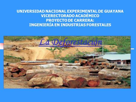 UNIVERSIDAD NACIONAL EXPERIMENTAL DE GUAYANA VICERECTORADO ACADÉMICO PROYECTO DE CARRERA: INGENIERÍA EN INDUSTRIAS FORESTALES La Deforestación.