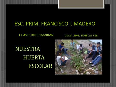 ESC. PRIM. FRANCISCO I. MADERO CLAVE: 30EPR2206W NUESTRA HUERTA ESCOLAR GUAYALITOS, TEMPOAL VER.