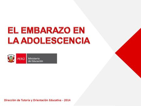 Dirección de Tutoría y Orientación Educativa - 2014.