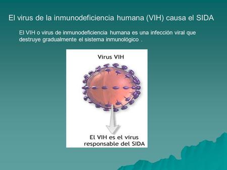 El virus de la inmunodeficiencia humana (VIH) causa el SIDA