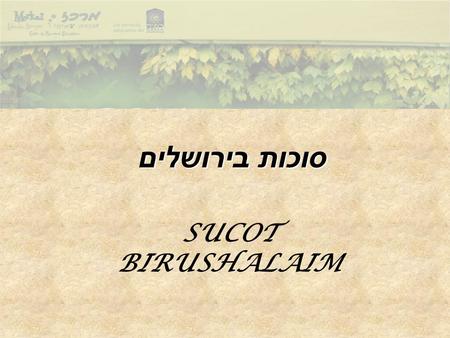 סוכות בירושלים SUCOT BIRUSHALAIM. Recorrer Jerusalén durante la festividad de Sucot es sin duda una experiencia muy peculiar. En numerosos patios, jardines,