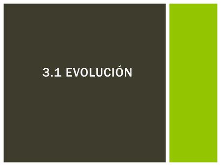 3.1 EVOLUCIÓN.