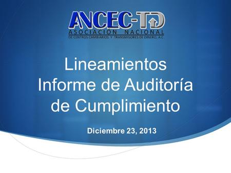 Lineamientos Informe de Auditoría de Cumplimiento