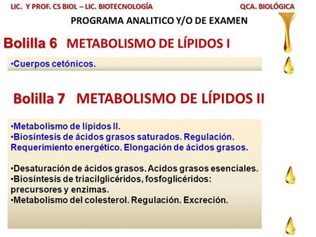 PROGRAMA ANALITICO Y/O DE EXAMEN