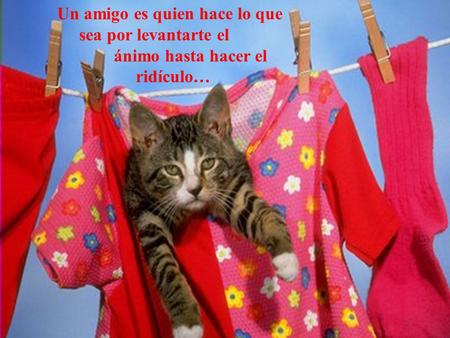 Un amigo es quien hace lo que