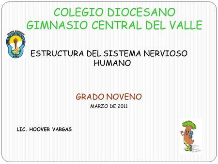 COLEGIO DIOCESANO GIMNASIO CENTRAL DEL VALLE