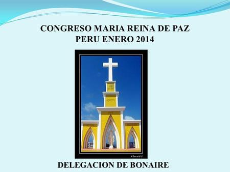 CONGRESO MARIA REINA DE PAZ PERU ENERO 2014