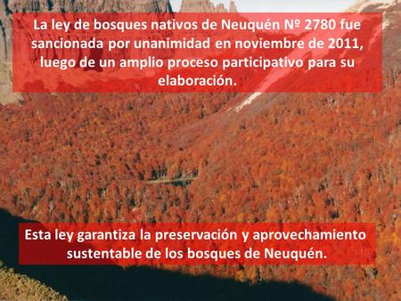 La ley de bosques nativos de Neuquén Nº 2780 fue sancionada por unanimidad en noviembre de 2011, luego de un amplio proceso participativo para su elaboración.