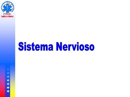 Sistema Nervioso.