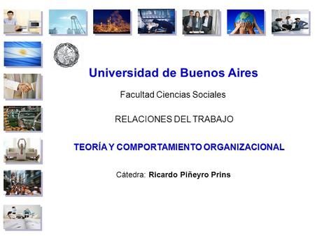 TEORÍA Y COMPORTAMIENTO ORGANIZACIONAL