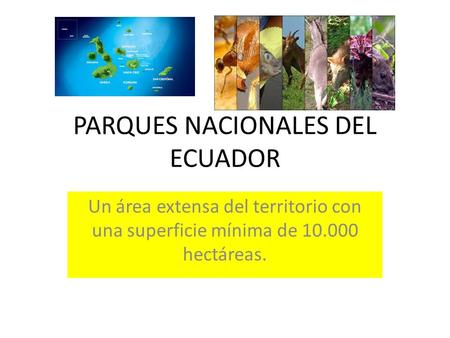 PARQUES NACIONALES DEL ECUADOR Un área extensa del territorio con una superficie mínima de 10.000 hectáreas.