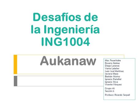 Aukanaw Desafíos de la Ingeniería ING1004 Max Feuerhake Rosario Ibáñez Diego Larenas Vania Letelier Juan José Martínez Javiera Meza Bastián Muñoz Ignacio.