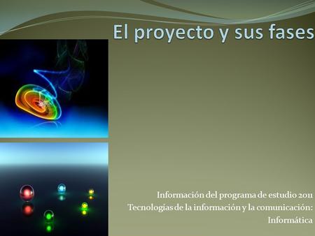 El proyecto y sus fases Información del programa de estudio 2011