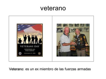 Veterano: es un ex miembro de las fuerzas armadas