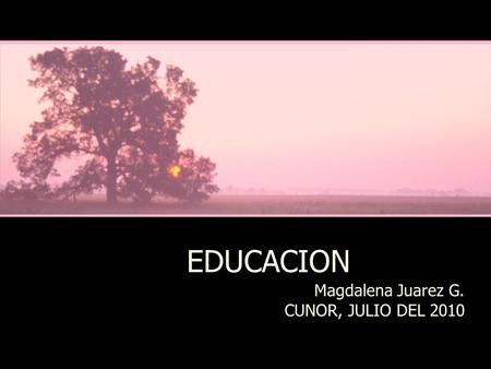 Magdalena Juarez G. CUNOR, JULIO DEL 2010