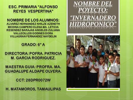  PLANTEANDO LAS POBLEMATICAS 1) INSUFICIENCIA ALIMENTARIA. 2) INSEGURIDAD. 3) BAJO INDICE ECONOMICO. 4) FAMILIAS DISFUNCIONALES. 5) BAJO NIVEL CULTURAL.