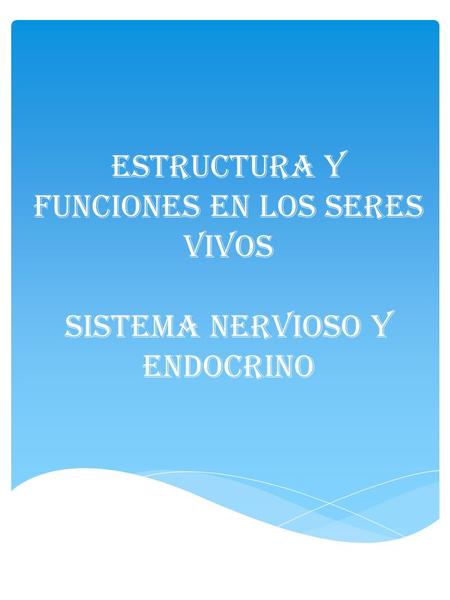 ESTRUCTURA Y FUNCIONES EN LOS SERES VIVOS