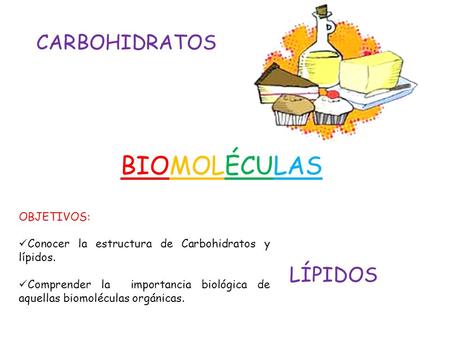 BIOMOLÉCULAS CARBOHIDRATOS LÍPIDOS OBJETIVOS:
