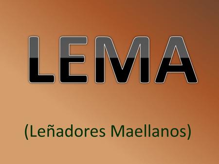 (Leñadores Maellanos) Como todas las empresas tienen su propio lema el nuestro es: