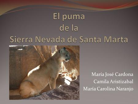 María José Cardona Camila Aristizabal María Carolina Naranjo.