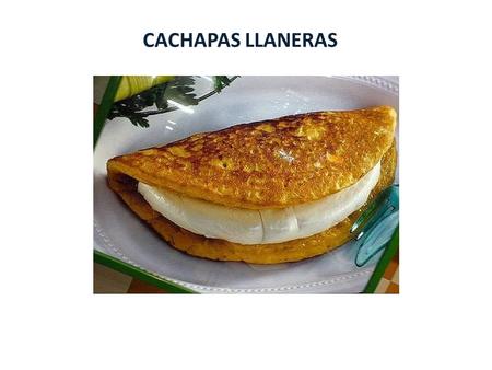 CACHAPAS LLANERAS.