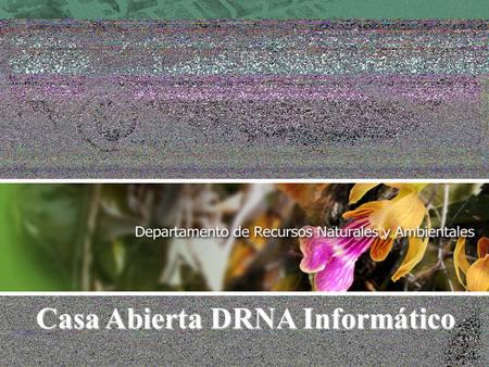 Casa Abierta DRNA Informático. Contenido Meta Proyecto de Informática Puerto DRNA Servicios Disponibles Servicios en Proceso Demostración Puerto DRNA.