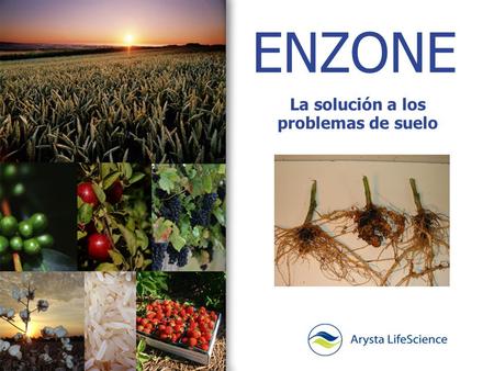 La solución a los problemas de suelo
