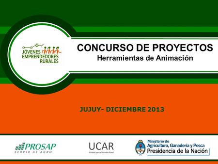 CONCURSO DE PROYECTOS Herramientas de Animación JUJUY- DICIEMBRE 2013.