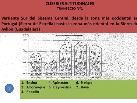 CLISERIES ALTITUDINALES