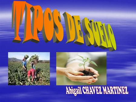 Abigail CHAVEZ MARTINEZ