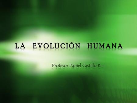 Profesor Daniel Castillo R.-