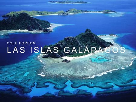 Cole Forson Las Islas Galápagos.