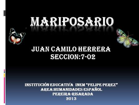 INSTITUCIÓN EDUCATIVA INEM “FELIPE PEREZ” AREA:HUMANIDADES ESPAÑOL