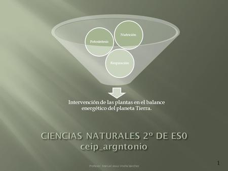 Profesor: Manuel Jesús Virella Sánchez 1 Intervención de las plantas en el balance energético del planeta Tierra. RespiraciónFotosíntesisNutrición.