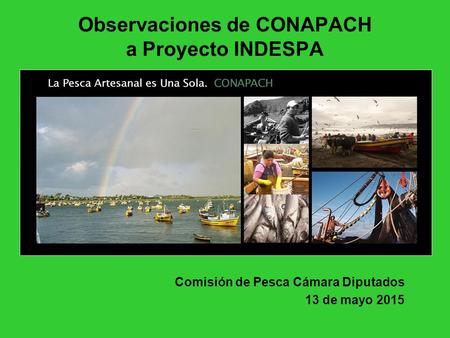 Observaciones de CONAPACH a Proyecto INDESPA Comisión de Pesca Cámara Diputados 13 de mayo 2015.
