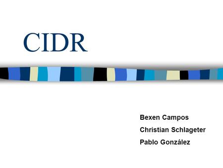 CIDR Bexen Campos Christian Schlageter Pablo González.