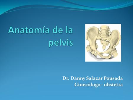 Dr. Danny Salazar Pousada Ginecólogo - obstetra