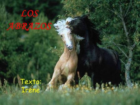 LOS ABRAZOS Texto: Irene.