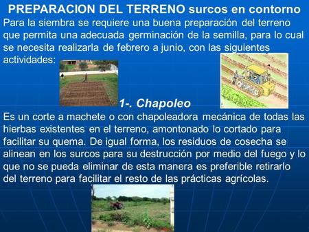 PREPARACION DEL TERRENO surcos en contorno