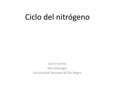 Quiní Camila Microbiología Universidad Nacional de Rio Negro