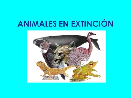 ANIMALES EN EXTINCIÓN.