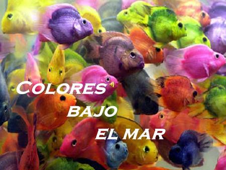 Colores bajo el mar - Lo que hoy no conseguiste, con ánimo y cariño podrás lograr mañana.