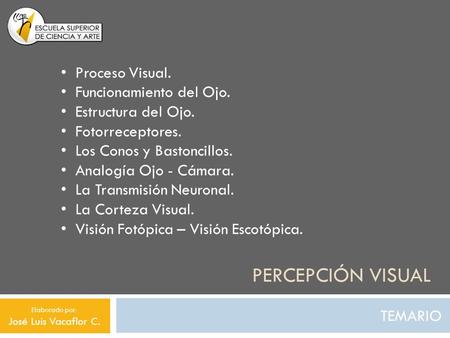 Percepción visual Proceso Visual. Funcionamiento del Ojo.