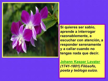 Si quieres ser sabio, aprende a interrogar razonablemente, a escuchar con atención, a responder serenamente y a callar cuando no tengas nada que decir.