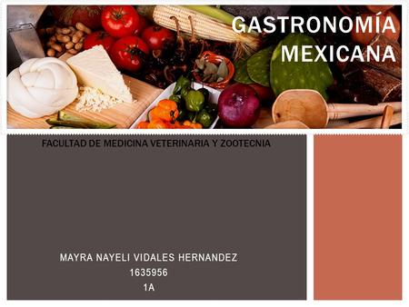 MAYRA NAYELI VIDALES HERNANDEZ A